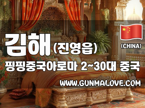 김해 진영읍 [핑핑중국아로마] 이미지