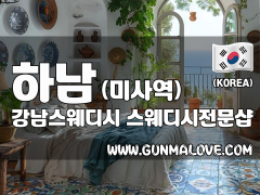 하남 미사역 [강남스웨디시] 이미지