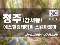 청주 강서동 [에스힐링테라피] 이미지