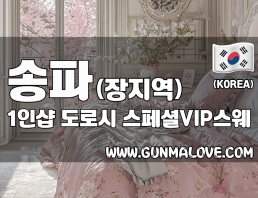 송파 장지역 문정동 [1인샵 도로시] 이미지