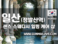 일산 장항동 [센스] 이미지