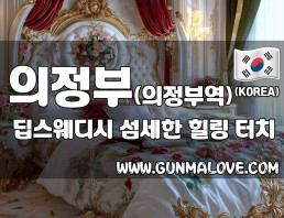 의정부 의정부역 [딥스웨디시] 이미지