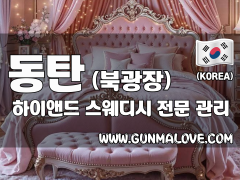 동탄 북광장 [하이앤드] 이미지