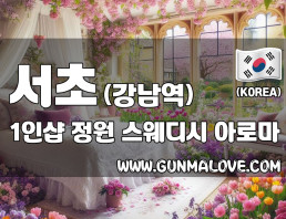 서초 강남역 1인샵 [정원] 이미지