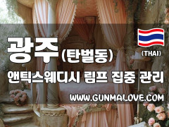 광주 탄벌동 [앤틱스웨디시] 이미지