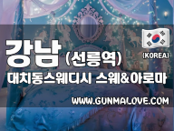 강남 선릉역 [대치동스웨디시] 이미지