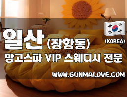 일산 장항동 [망고스파] 이미지