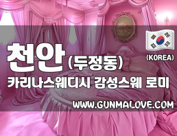 천안 두정동 [카리나스웨디시] 이미지