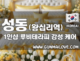 성동 왕십리역 1인샵 [루비테라피] 이미지