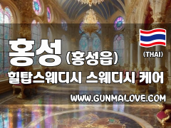 홍성 홍성읍 [힐탑스웨디시] 이미지