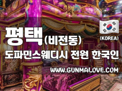 평택 비전동 [도파민스웨디시] 이미지