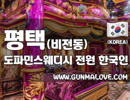 평택 비전동 [도파민스웨디시] 이미지