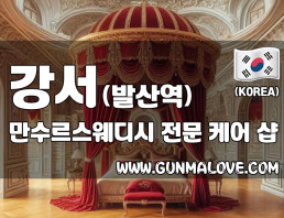 강서 발산역 [만수르스웨디시] 이미지
