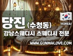 당진 수청동 [강남스웨디시] 이미지