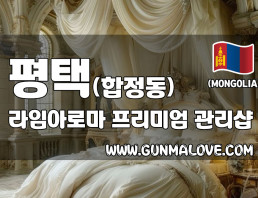 평택 합정동 [라임아로마] 이미지