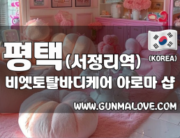 평택 서정리역 [비엣토탈바디케어] 이미지