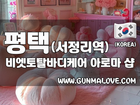 평택 서정리역 [비엣토탈바디케어] 이미지