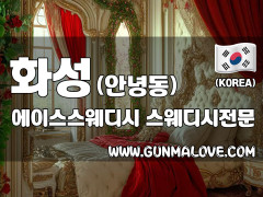 화성 안녕동 [에이스스웨디시] 이미지
