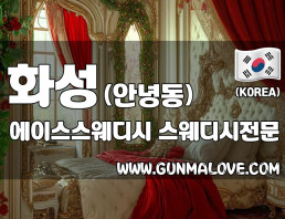 화성 안녕동 [에이스스웨디시] 이미지