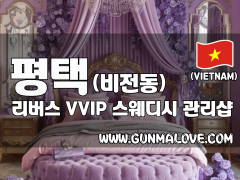 평택 비전동 [리버스] 이미지