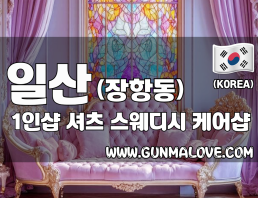 일산 장항동 1인샵 [셔츠] 이미지