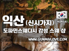 익산 신시가지 [도파민스웨디시] 이미지