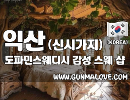 익산 신시가지 [도파민스웨디시] 이미지