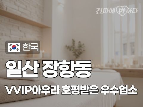 일산 장항동 [VVIP아우라] 이미지