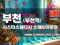 부천 부천역 [시스타스웨디시] 이미지