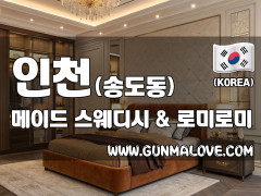 인천 송도동 [메이드] 이미지