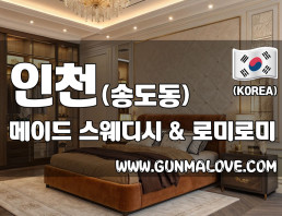 인천 송도동 [메이드] 이미지