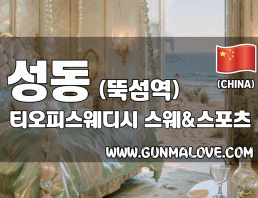 성동 뚝섬역 [티오피스웨디시] 이미지