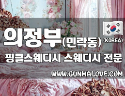 의정부 민락동 [핑클스웨디시] 이미지