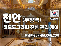 천안 두정역 [코모도그라피] 이미지