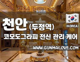 천안 두정역 [코모도그라피] 이미지