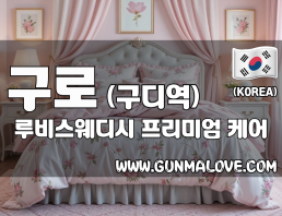 구로 구디역 [루비스웨디시] 이미지