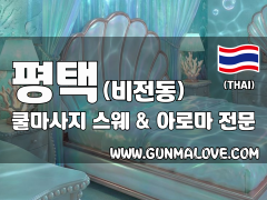 평택 비전동 [쿨마사지] 이미지