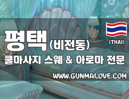 평택 비전동 [쿨마사지] 이미지