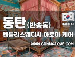 동탄 반송동 [벤틀리스웨디시] 이미지