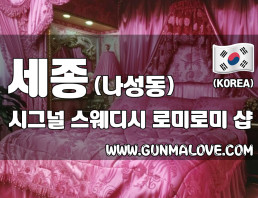 세종 나성동 [시그널] 이미지