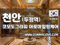 천안 두정역 [코모도그라피] 이미지