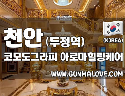 천안 두정역 [코모도그라피] 이미지