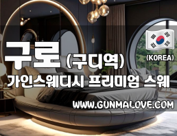 구로 구디역 [가인스웨디시] 이미지