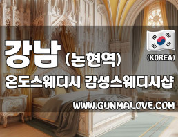 강남 논현역 [온도스웨디시] 이미지