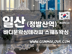 일산 정발산역 [바디문왁싱테라피] 이미지