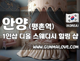 안양 비산동 평촌역 1인샵 [디올] 이미지