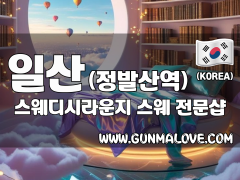 일산 정발산역 [스웨디시라운지] 이미지