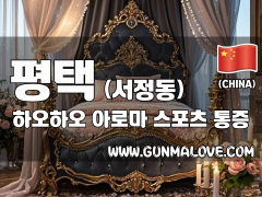 평택 서정동 [하오하오] 이미지