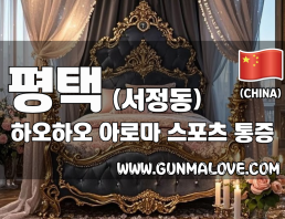 평택 서정동 [하오하오] 이미지