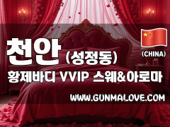 천안 성정동 [황제바디] 이미지